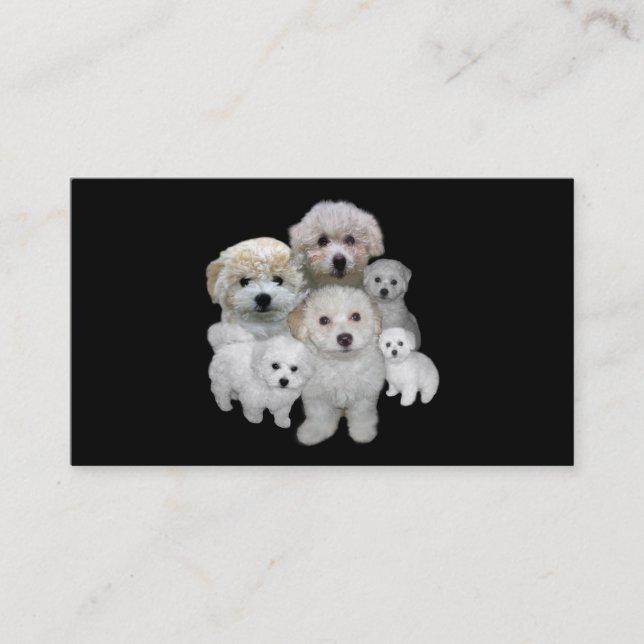 Bichon Frise Lover Business Card (Front)