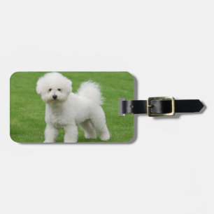 Bichon Frise Luggage Tag
