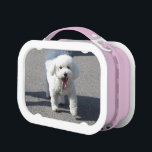Bichon Frise Lunchbox<br><div class="desc">Bichon Frise Lunchbox Fun for the child or adult who takes their lunch</div>