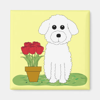Bichon Frise Magnet