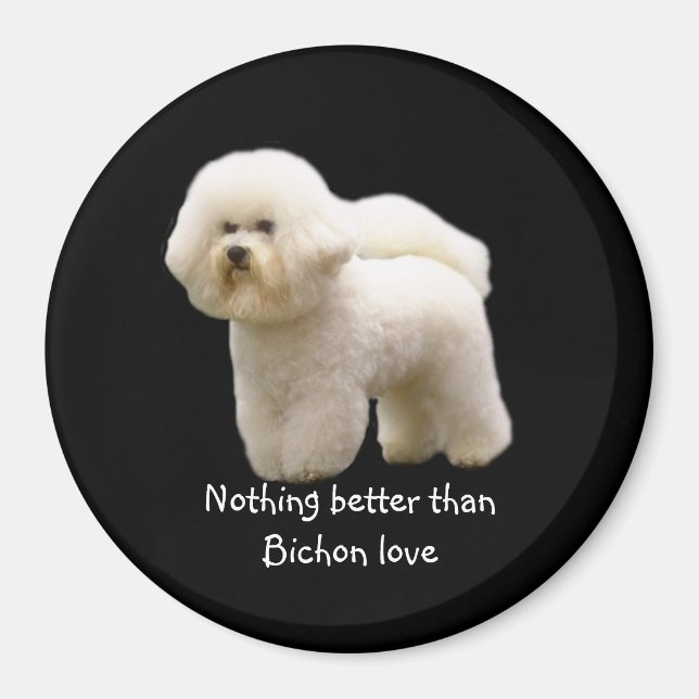Bichon Frise Magnet (Front)