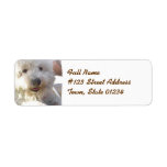 Bichon Frise Mailing Label