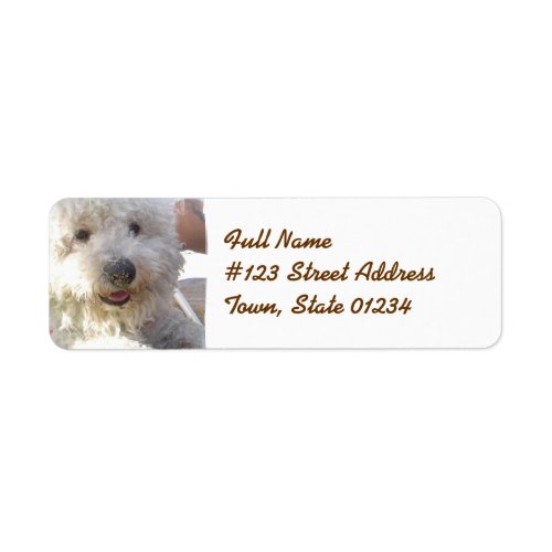 Bichon Frise Mailing Label