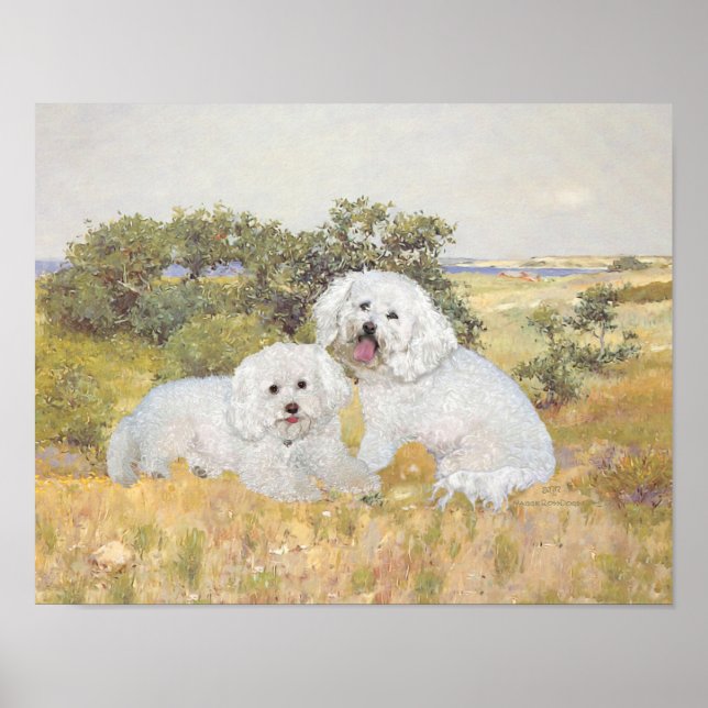 Bichon Frise Meadow View Poster (Front)