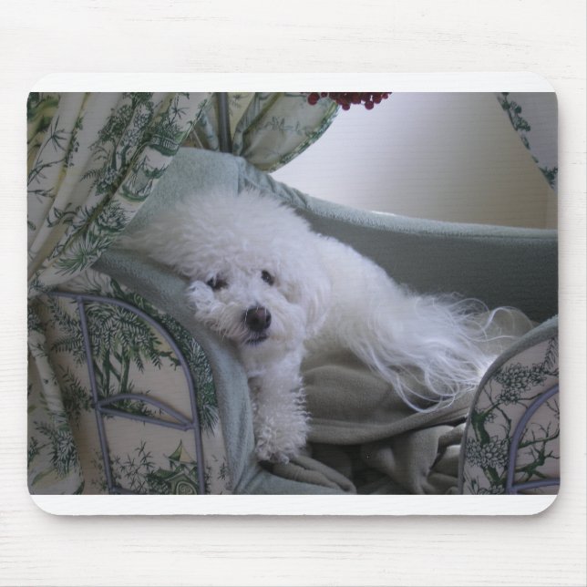 BICHON FRISE MOUSE PAD (Front)