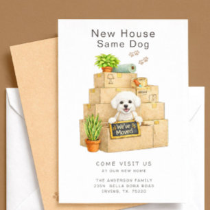 Bichon Frise New House Moving Announcement