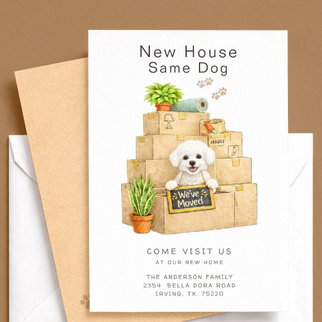 Bichon Frise New House Moving Announcement (Creator Uploaded)