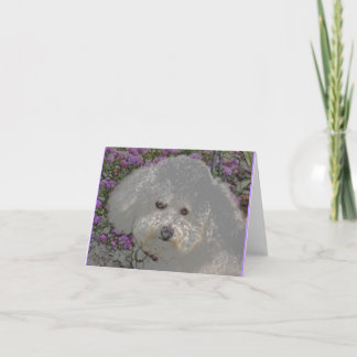 Bichon Frise Notecard