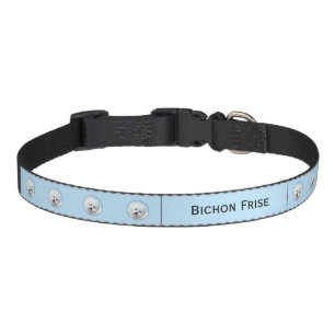 Bichon Frise Painting - Cute Original Dog Art Pet  Collar
