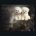 Bichon Frise Photo Print<br><div class="desc">Bichon Frise</div>