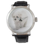 Bichon Frise Photo Watch