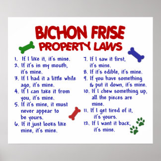 BICHON FRISE PL2 POSTER