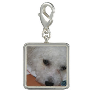 Bichon Frisé.png Charm