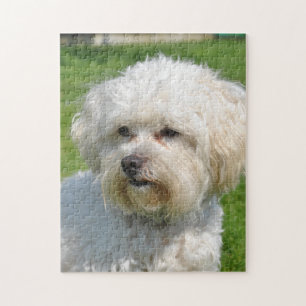 Bichon Frise Portrait Jigsaw Puzzle