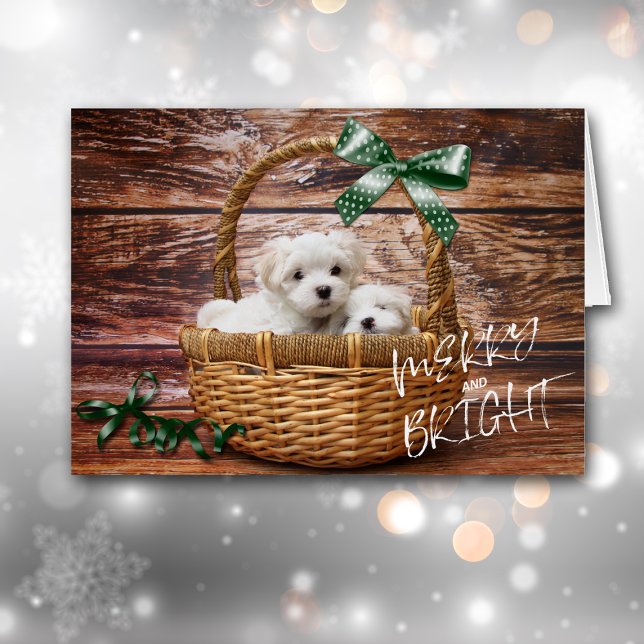 Bichon Frise Puppies in Basket Christmas Card (Creator Uploaded)