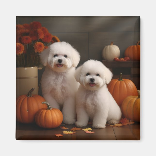 Bichon Frise Puppy Autumn Delight Pumpkin  Magnet (Front)