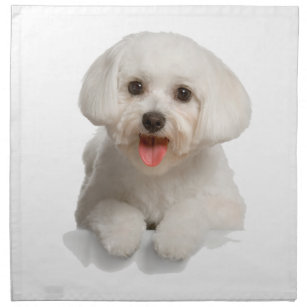 Bichon Napkins | Zazzle