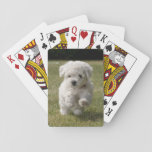 Bichon Frise Puppy Dog Playing Cards at Zazzle