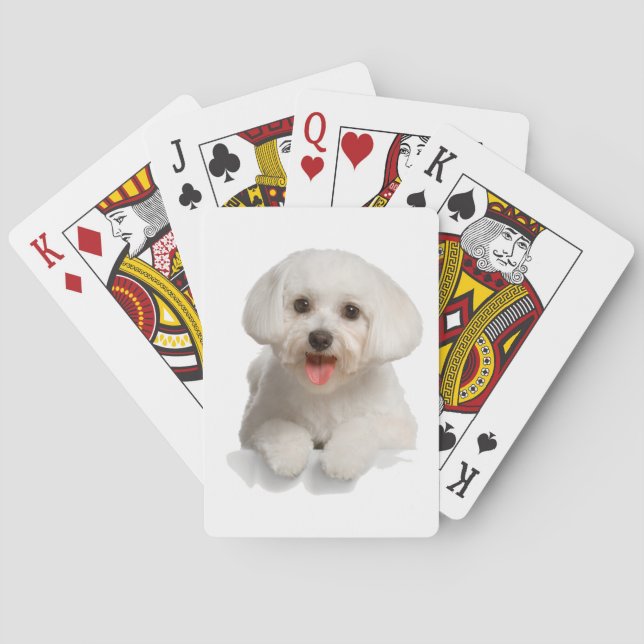 Bichon Frise Puppy Poker Cards (Back)