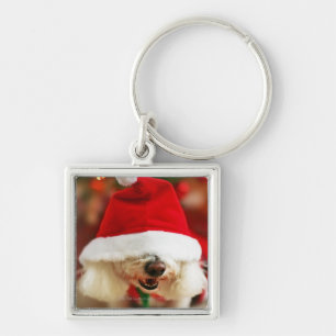 Bichon Frise puppy wearing Santa costume Keychain