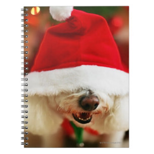Bichon Frise puppy wearing Santa costume Notebook