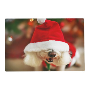 Bichon Frise puppy wearing Santa costume Placemat