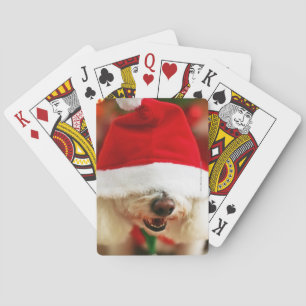 Bichon Frise puppy wearing Santa costume Poker Cards