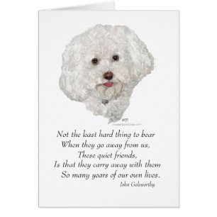 Bichon Frise Rainbow Bridge Cards