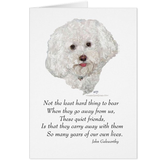 Bichon Frise Rainbow Bridge Cards (Front)