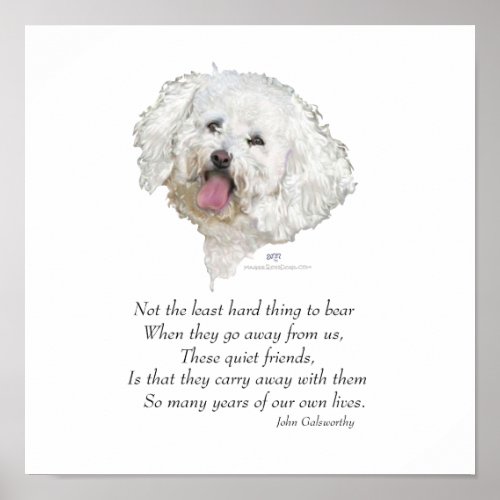 Bichon Frise Rainbow Bridge Poster