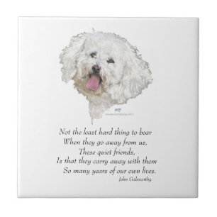 Bichon Frise Rainbow Bridge Tile