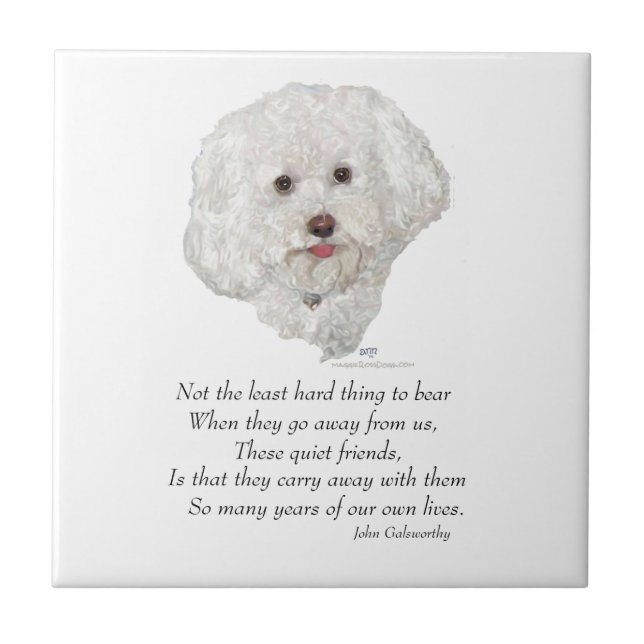Bichon Frise Rainbow Bridge Tile (Front)