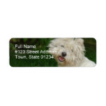 Bichon Frise Return Address Label