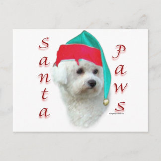 Bichon Frise Santa Paws Holiday Postcard