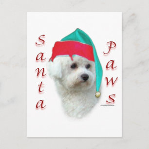 Bichon Frise Santa Paws Holiday Postcard