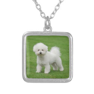 bichon jewelry