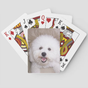 Bichon Frise Smiling Dog Playing Cards