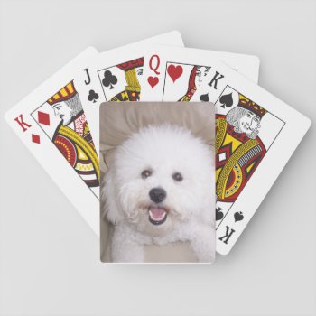Bichon Frise Smiling Dog Playing Cards by walkandbark at Zazzle