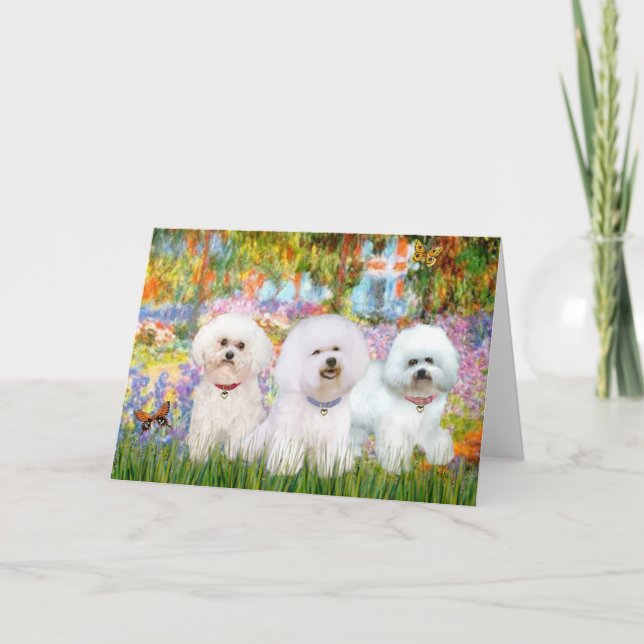 Bichon Frise Trio - Garden (VG) Card (Front)