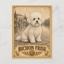 Bichon Frise, Vintage Heritage Dog