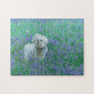 Bichon in Bluebonnets Jigsaw Puzzle