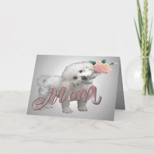 Bichon Mother Day Card