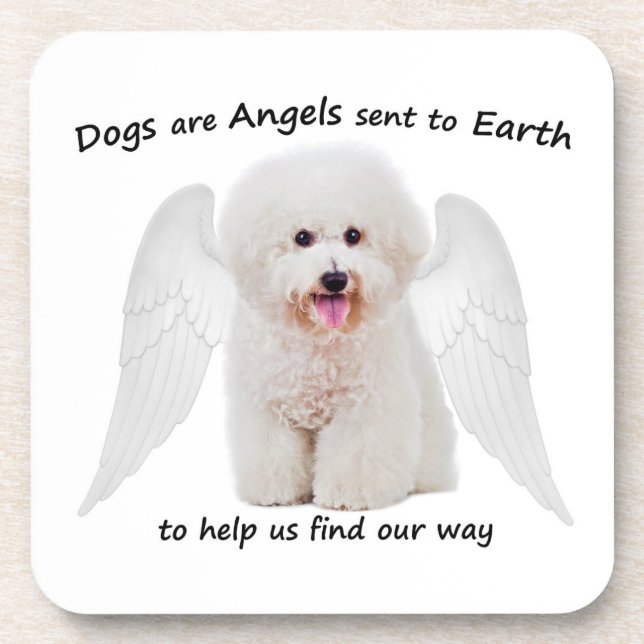 Bichons are Angels Coaster Set (Front)
