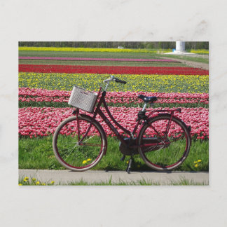 Bicycle at Tulips Field DIY Postcard