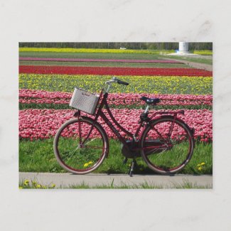 Bicycle at Tulips Field DIY Postcard