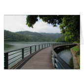 Bicycle Bridge (Front Horizontal)