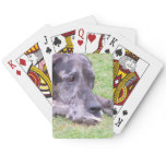 Bicycle Card Template - Customized