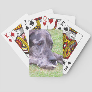 Bicycle Card Template - Customized