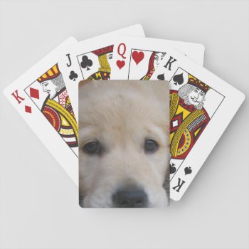 Bicycle Card Template - Customized by DogPoundGifts at Zazzle