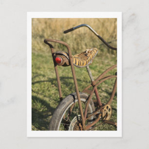 Bicycle Cycle Bicycling Cycling Banana Cruiser Postcard